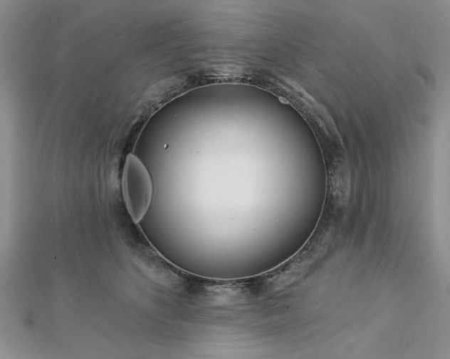 X0000113130516200909041150