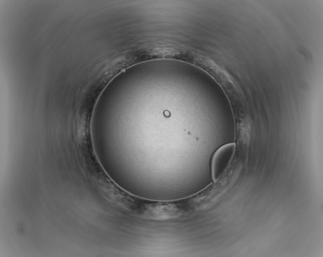 X0000113130517200909041150