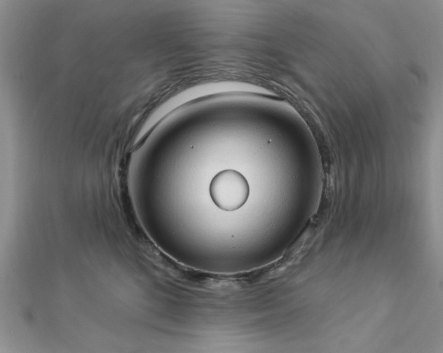 X0000113130520200909041150