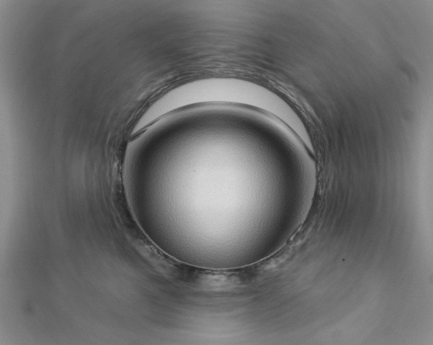 X0000113130521200909041150