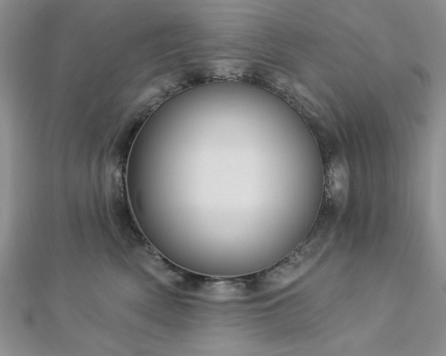 X0000113130522200909041150