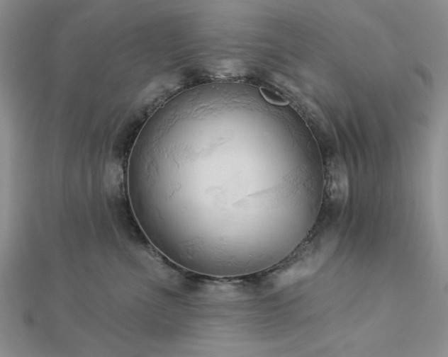 X0000113130523200909041150