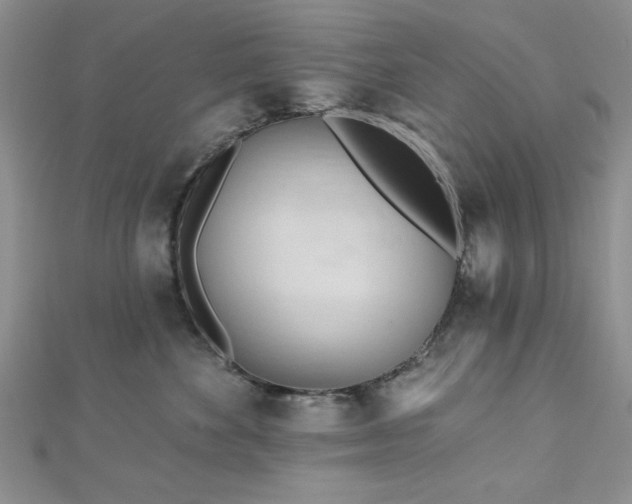 X0000113130524200909041150