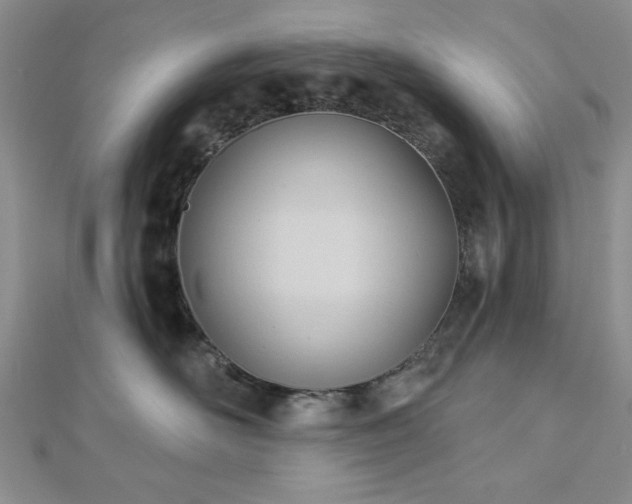 X0000113130526200909041150