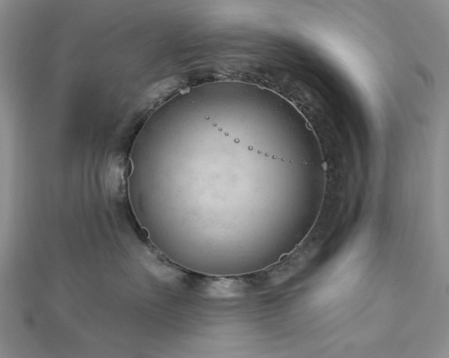 X0000113130527200909041150