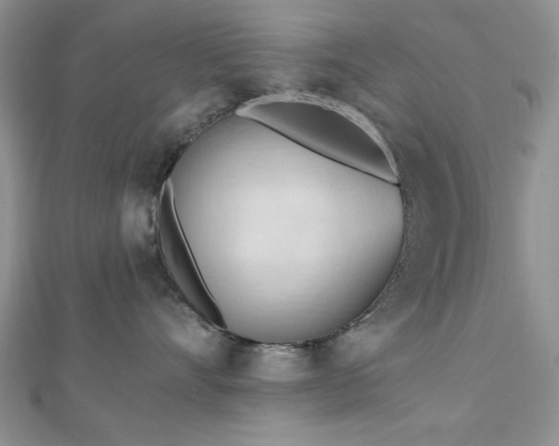 X0000113130528200909041150