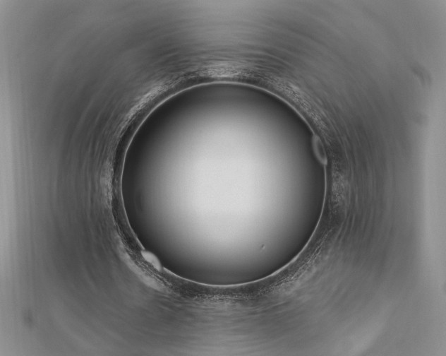 X0000113130530200909041149