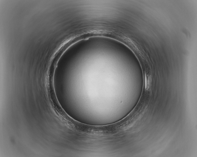 X0000113130531200909041149