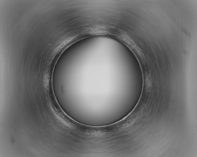 X0000113130533200909041149