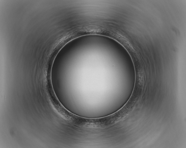 X0000113130538200909041149