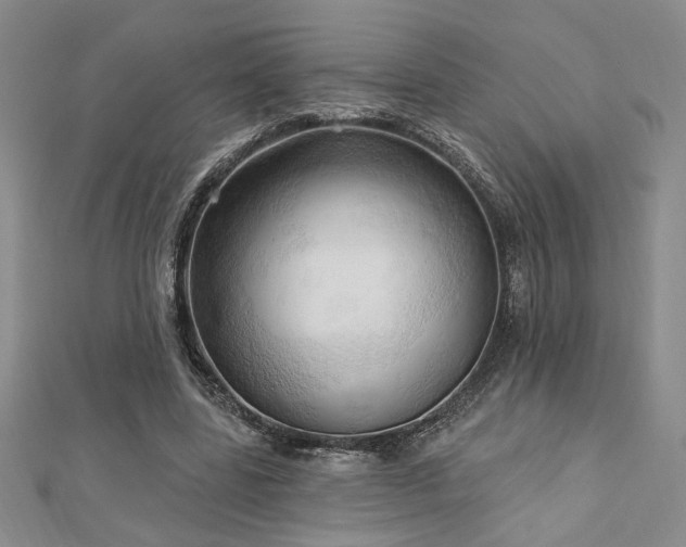 X0000113130539200909041149