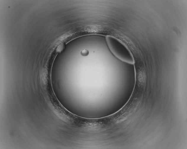 X0000113130540200909041149