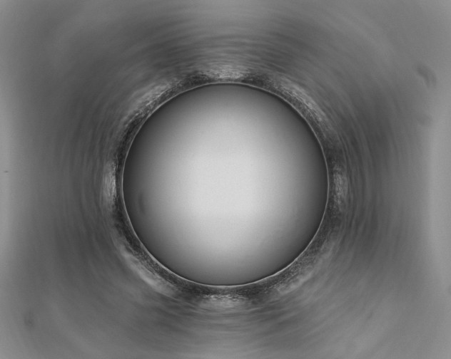 X0000113130541200909041149