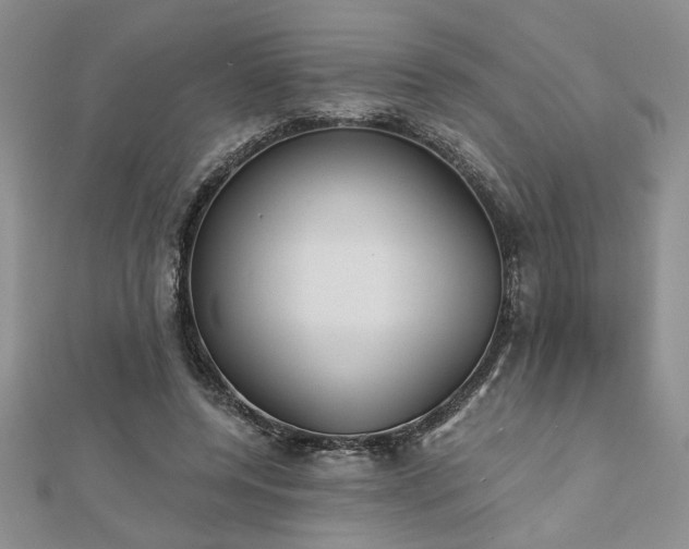 X0000113130544200909041149