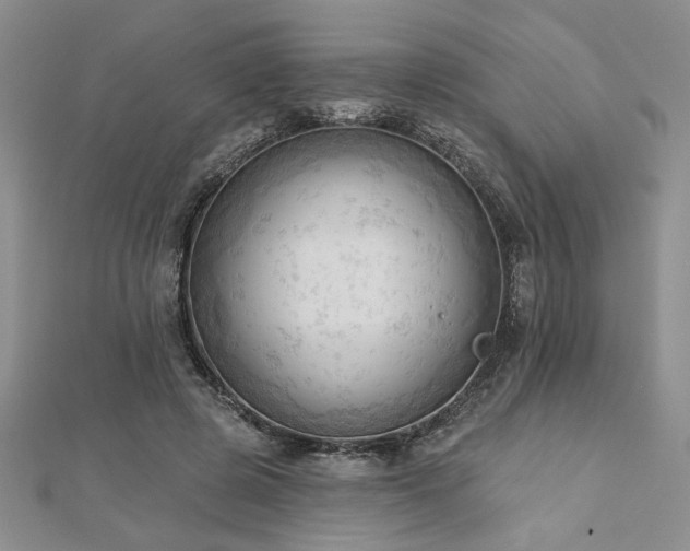 X0000113130545200909041149