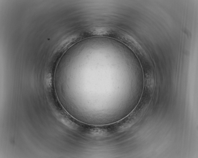 X0000113130549200909041149