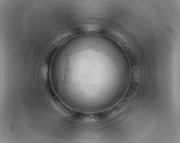 X0000113130550200909041149