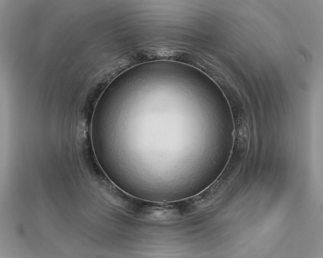 X0000113130555200909041149