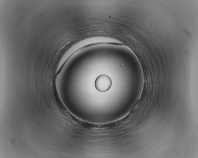 X0000113130556200909041149