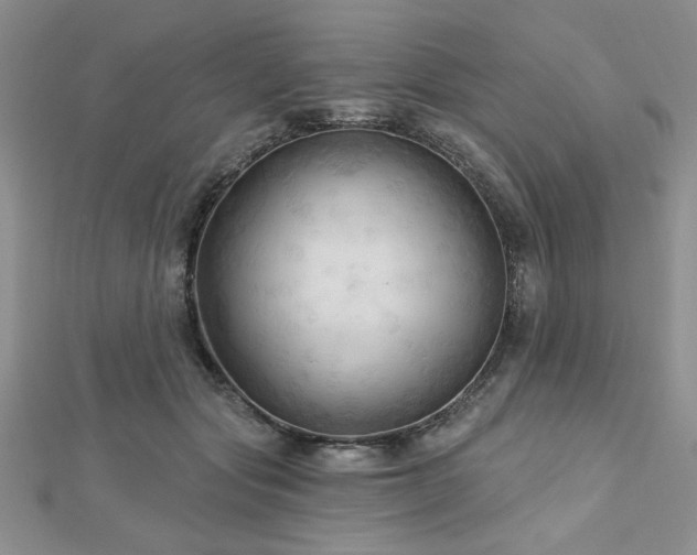 X0000113130557200909041149