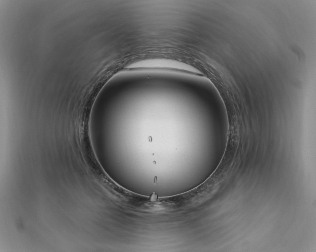 X0000113130558200909041149