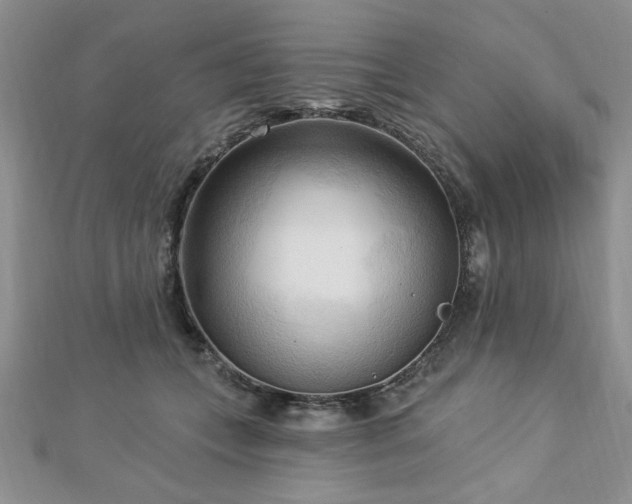 X0000113130559200909041149
