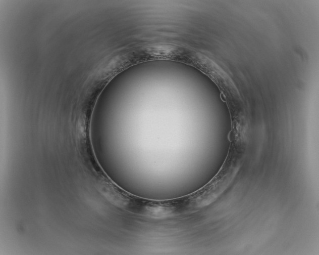 X0000113130561200909041149
