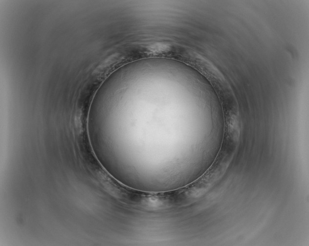 X0000113130565200909041149