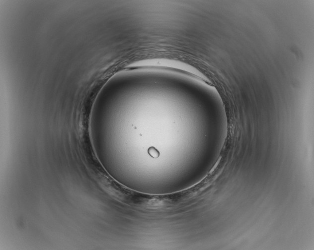 X0000113130566200909041150