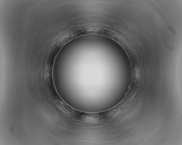 X0000113130567200909041150