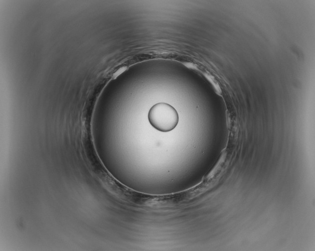 X0000113130568200909041150