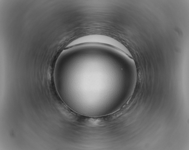 X0000113130570200909041150