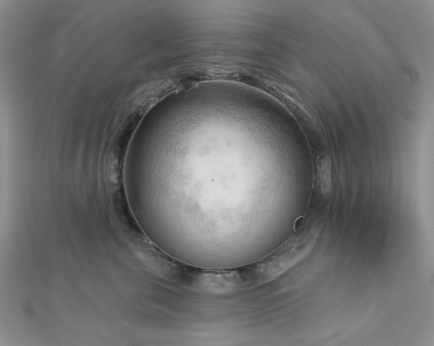 X0000113130571200909041150