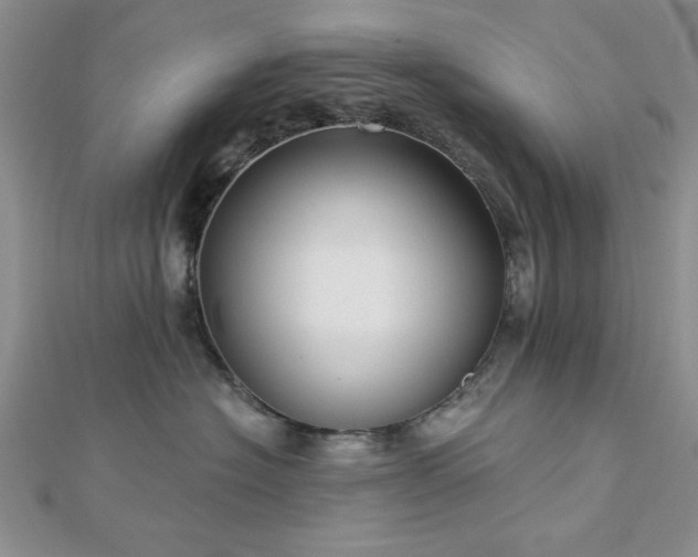 X0000113130574200909041150