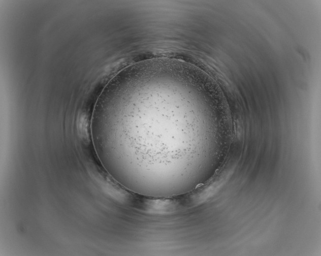 X0000113130575200909041150