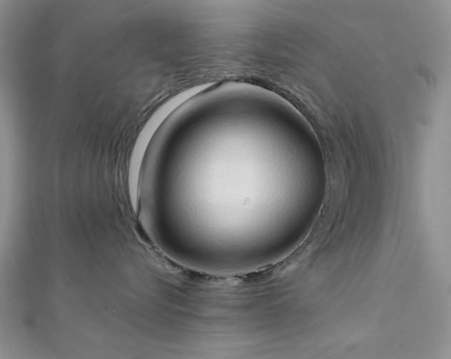 X0000113130576200909041150