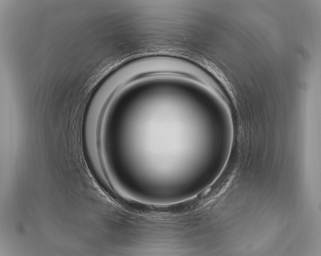 X0000113130577200909041149