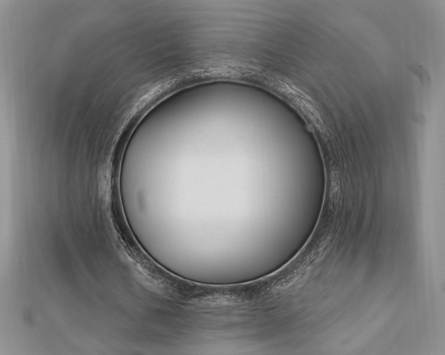 X0000113130578200909041149