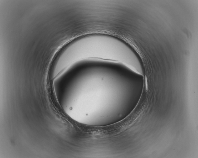 X0000113130579200909041149