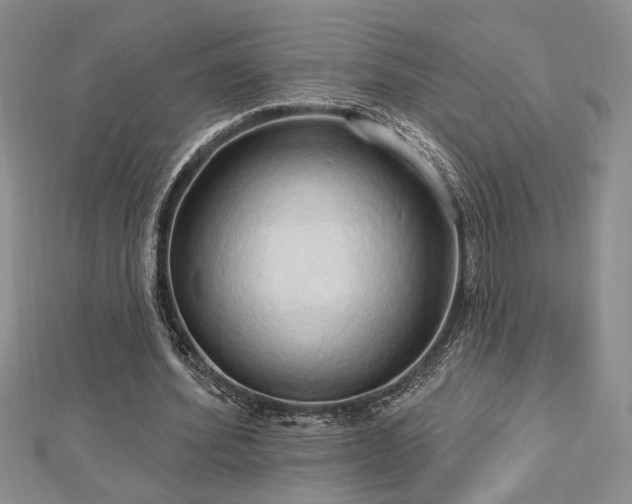 X0000113130580200909041149
