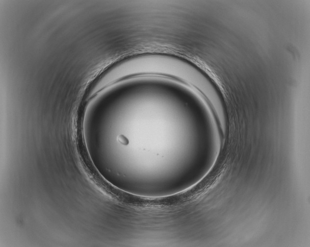 X0000113130581200909041149