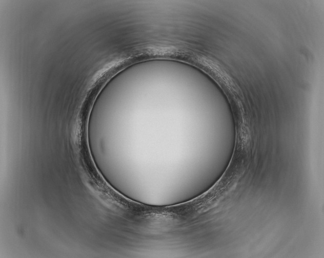 X0000113130583200909041149
