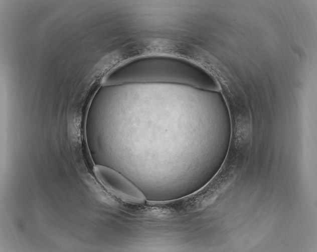 X0000113130585200909041149