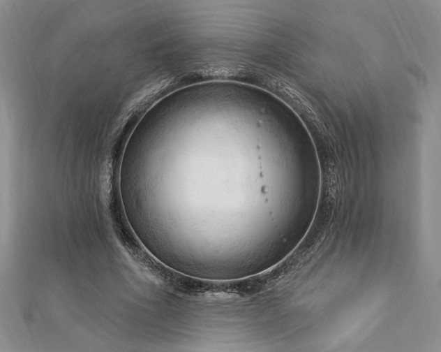 X0000113130586200909041149