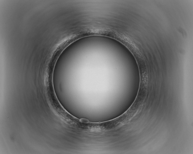 X0000113130587200909041149