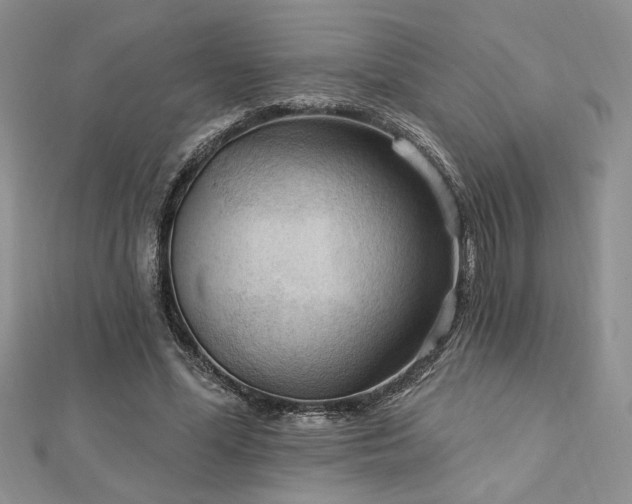 X0000113130588200909041149