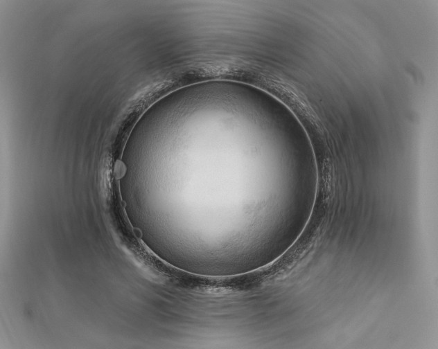 X0000113130590200909041149