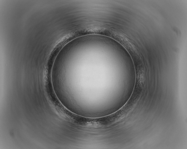 X0000113130591200909041149