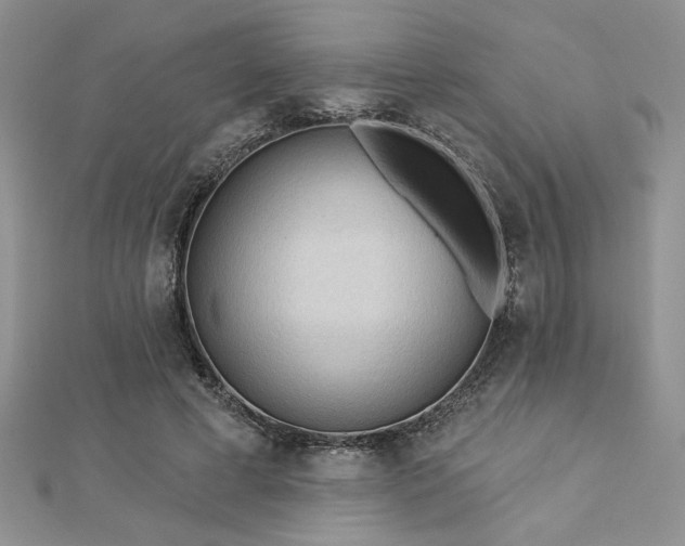 X0000113130593200909041149