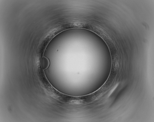 X0000113130595200909041149